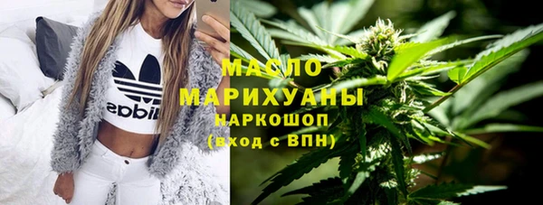 молекула духа Волоколамск