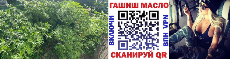 блэк спрут рабочий сайт  Махачкала  ТГК гашишное масло 