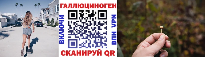 магазин продажи   Махачкала  Галлюциногенные грибы мухоморы 